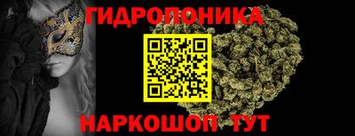 стафф Будённовск