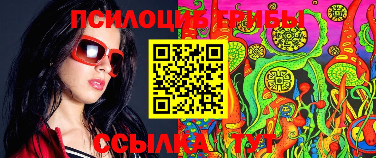 Арсеньев  Галлюциногенные грибы Psilocybine cubensis  Вход с VPN  Галлюциногенные грибы Psilocybe 