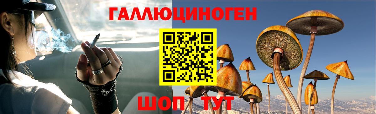 Галлюциногенные грибы прущие грибы Арсеньев